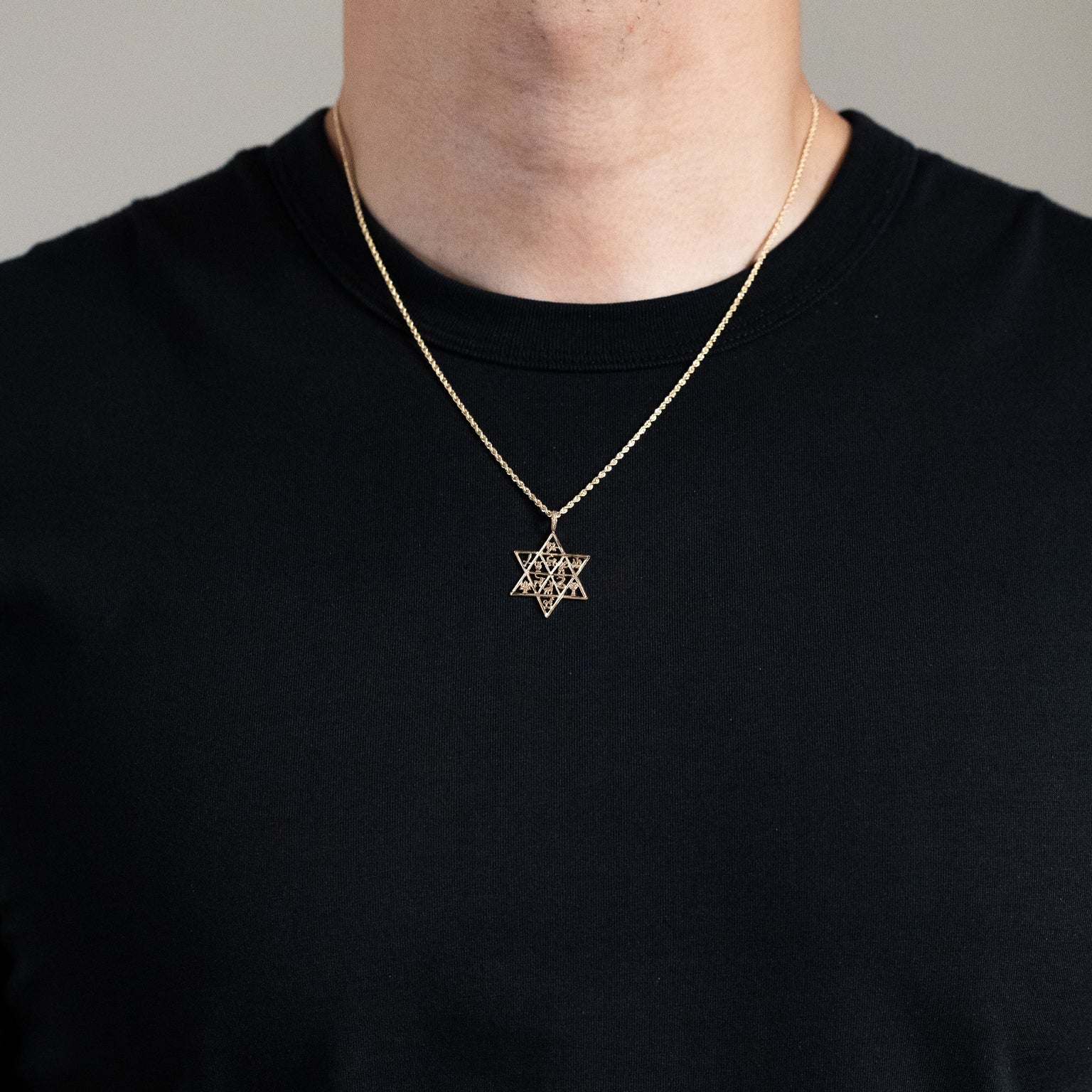 Gold 12 Animal Star Pendant Necklace - Model PT1500 - Charlie & Co. Jewelry
