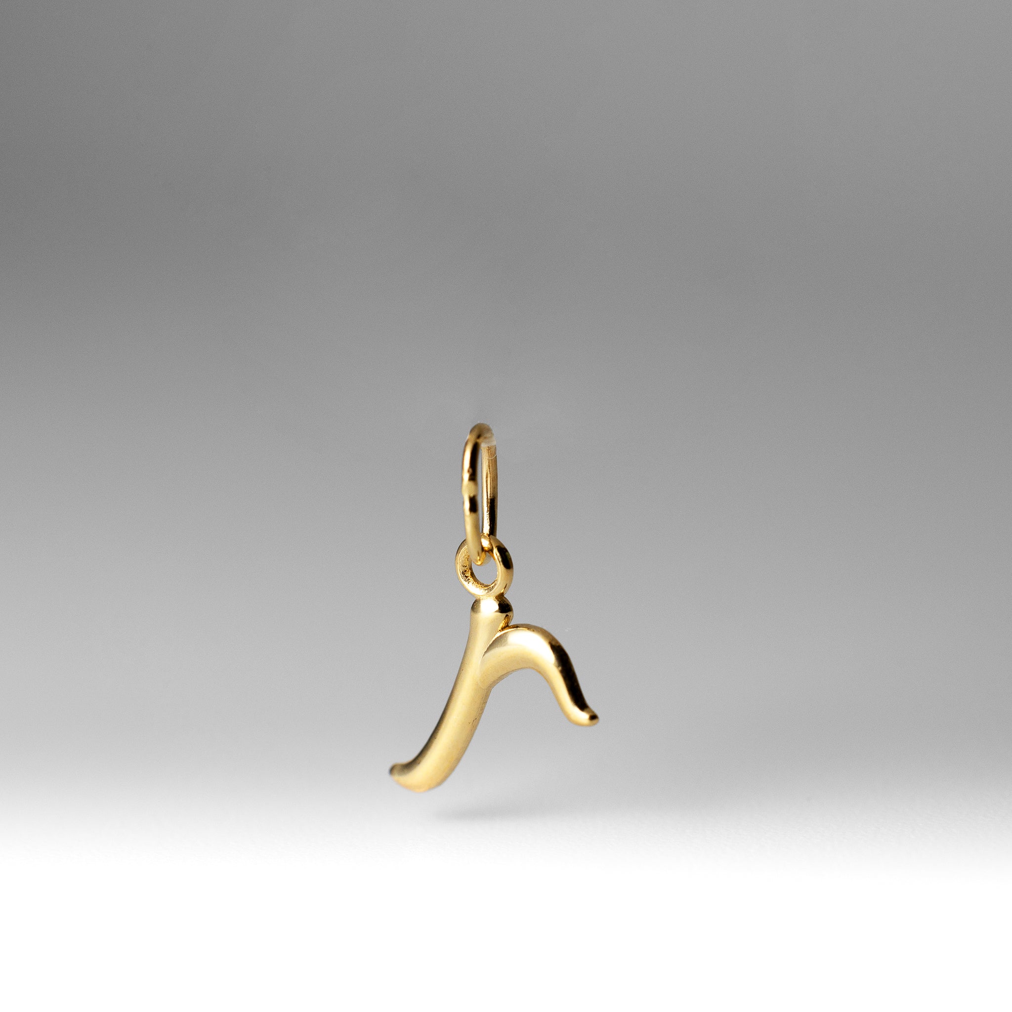 Gold Lowercase Initial "r" Pendant - Model YC1060 - Charlie & Co. Jewelry