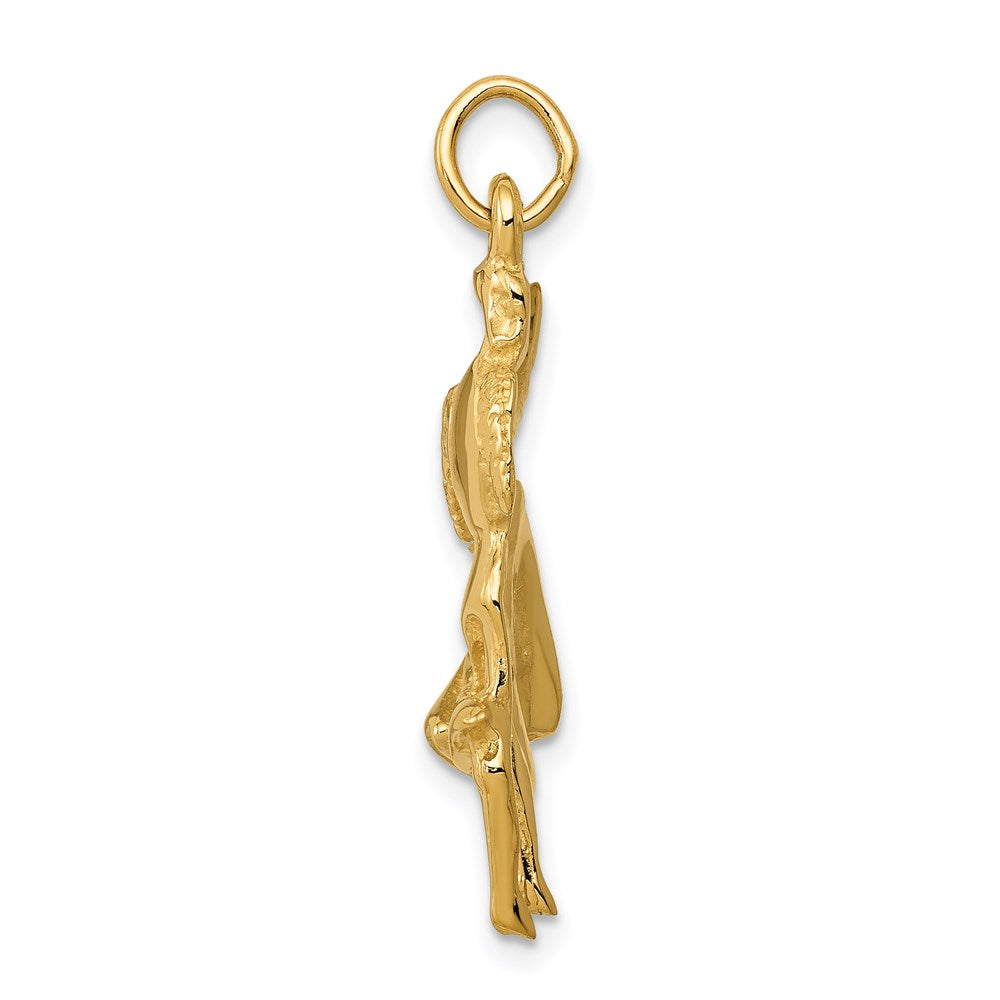 Charlie & Co Jewelry | 14k Matador Charm - Model A0387
