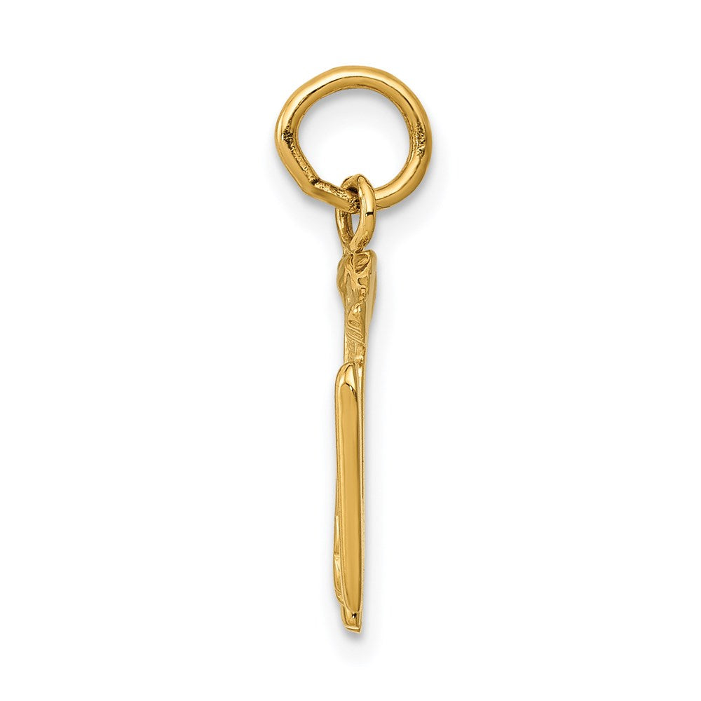 Charlie & Co Jewelry | 14k Rn Registered Nurse Charm - Model A0390