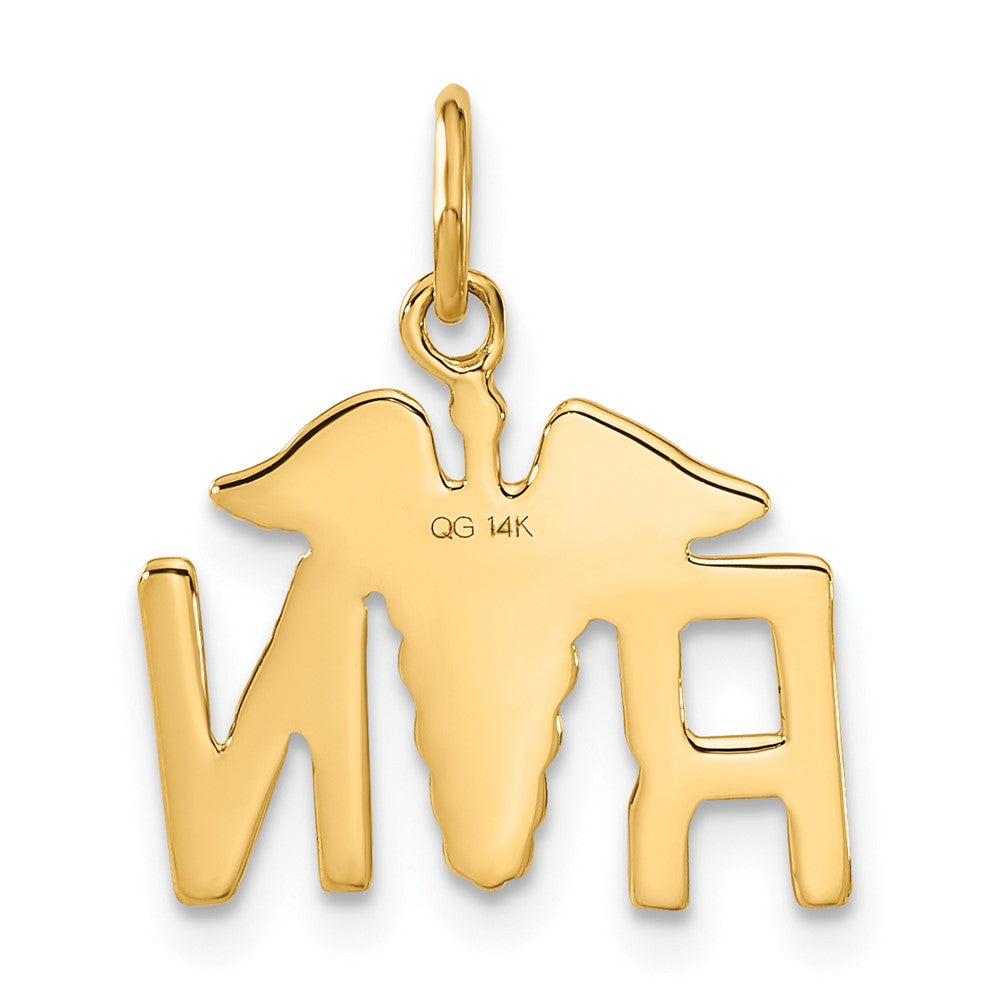 Charlie & Co Jewelry | 14k Rn Registered Nurse Charm - Model A0390