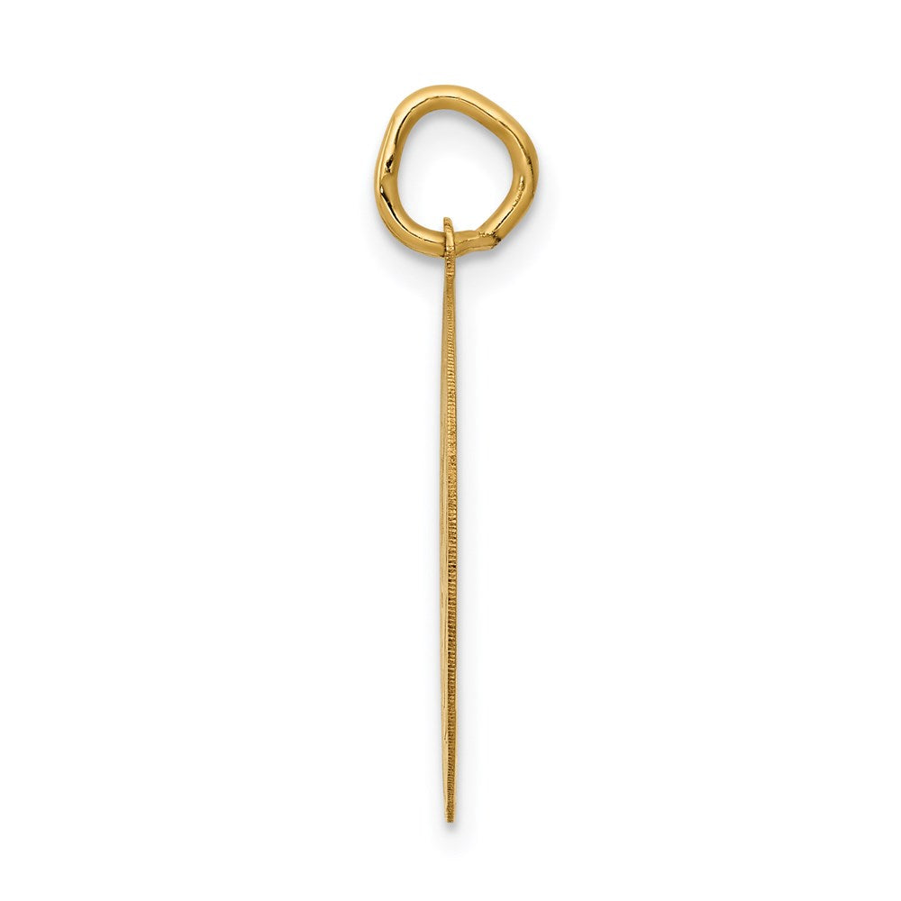 Charlie & Co Jewelry | 14k Graduation Day Disc Charm - Model A1076