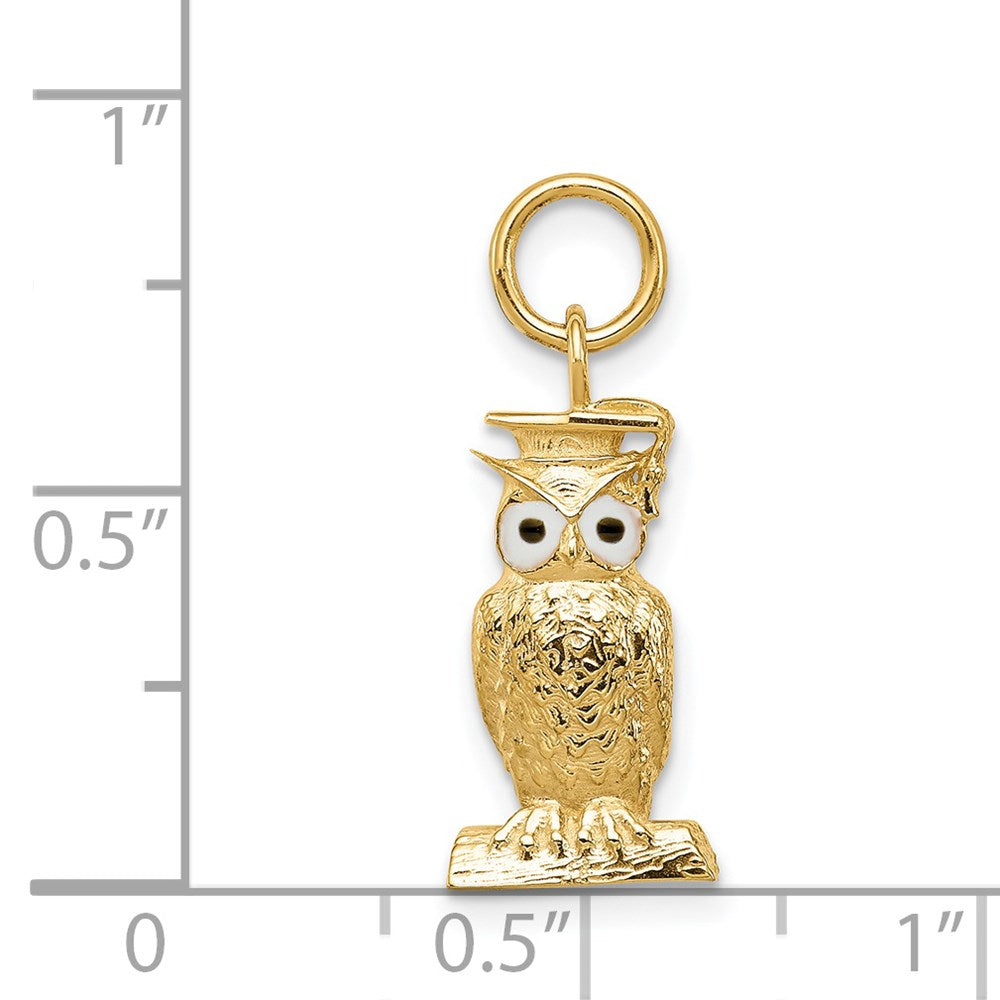 Charlie & Co Jewelry | 14k Graduation Owl Charm With Enamel - Model A1546/L