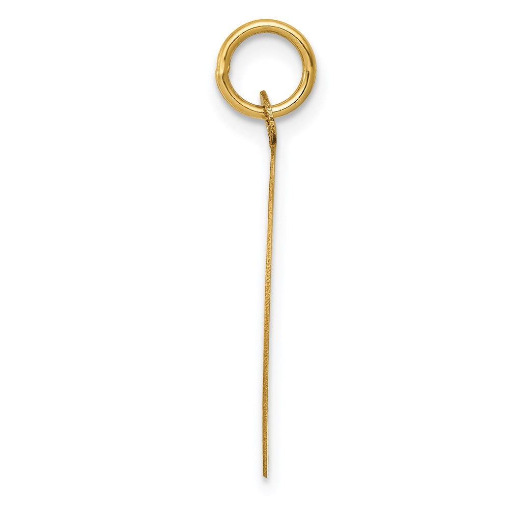Charlie & Co Jewelry | 14k Las Vegas Disc Charm - Model A2982