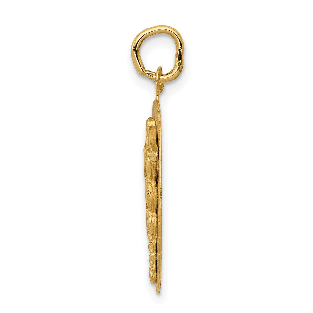 Charlie & Co Jewelry | 14k Caduceus Disc Charm - Model A4115