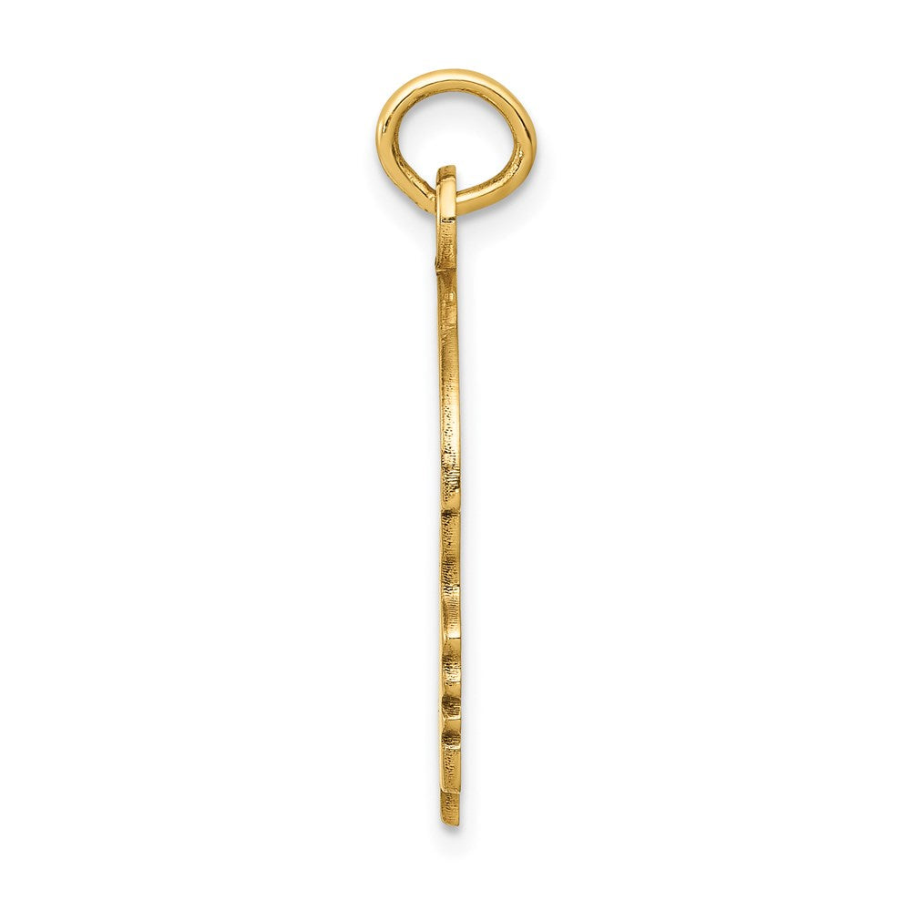 Charlie & Co Jewelry | 14k Solid Polished Boys Head Charm - Model A4249