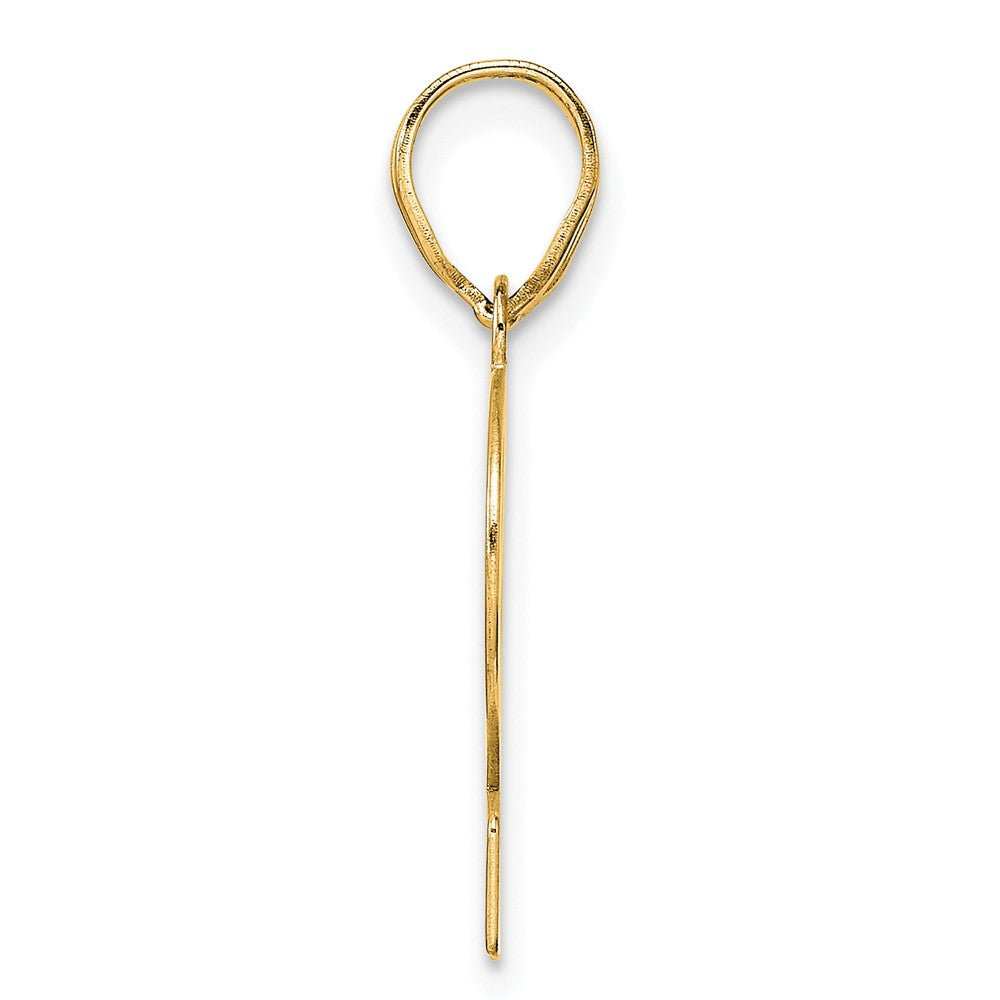 Charlie & Co Jewelry | 14k Polished Number 12 Pendant - Model APN12