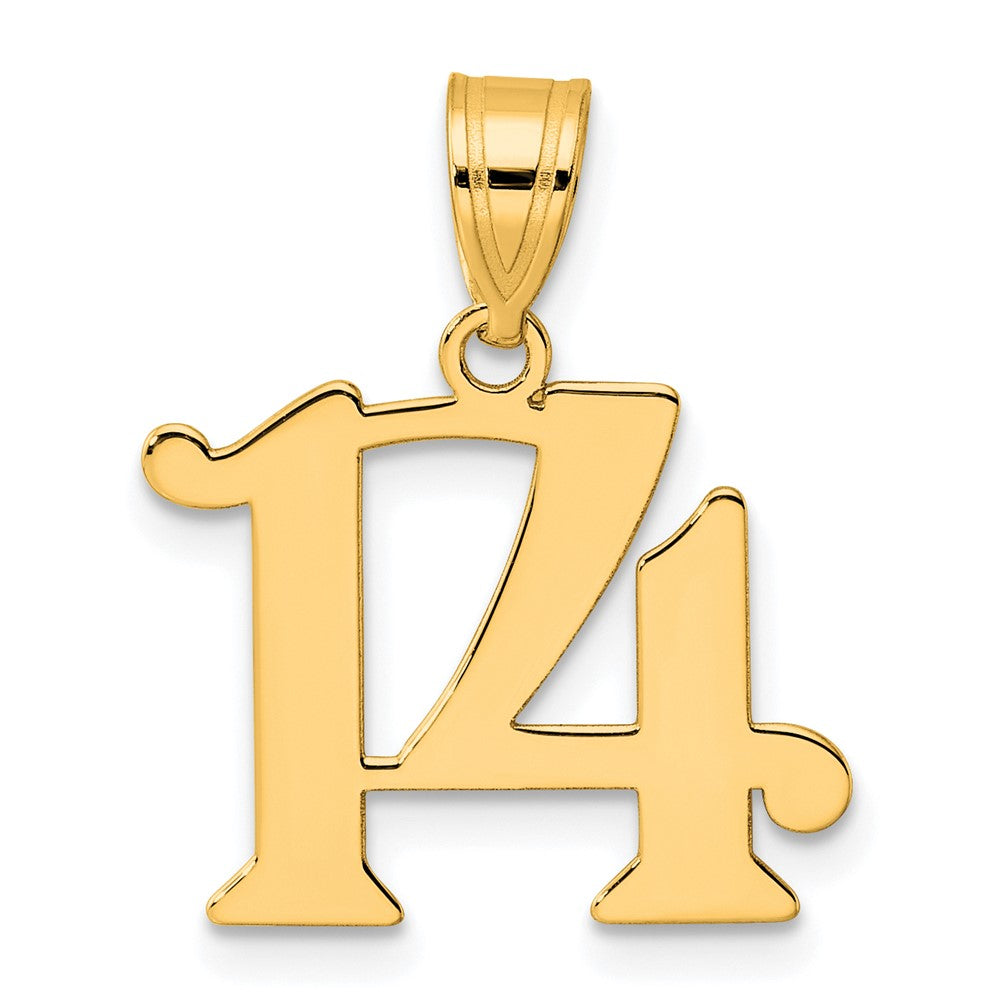 Charlie & Co Jewelry | 14k Polished Number 14 Pendant - Model APN14