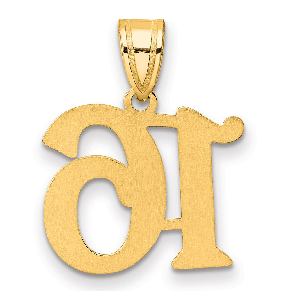 Charlie & Co Jewelry | 14k Polished Number 16 Pendant - Model APN16