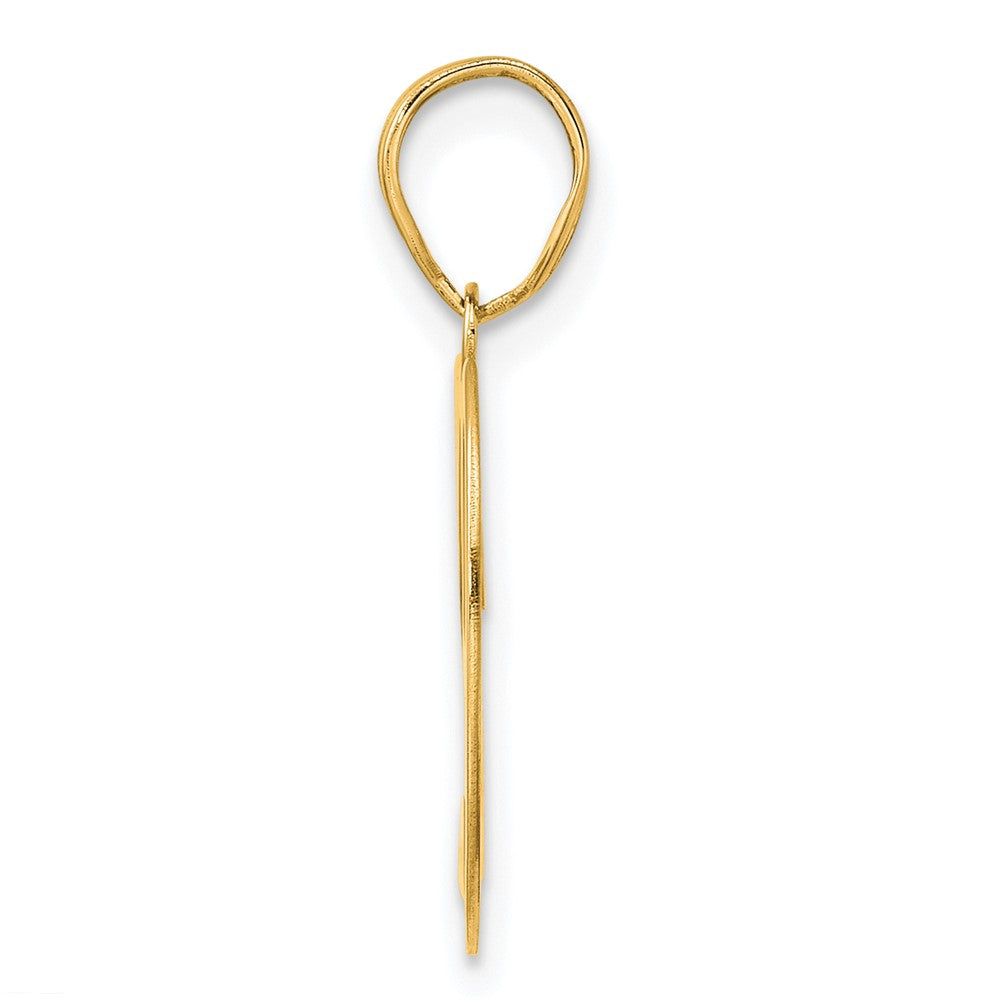 Charlie & Co Jewelry | 14k Polished Number 29 Pendant - Model APN29