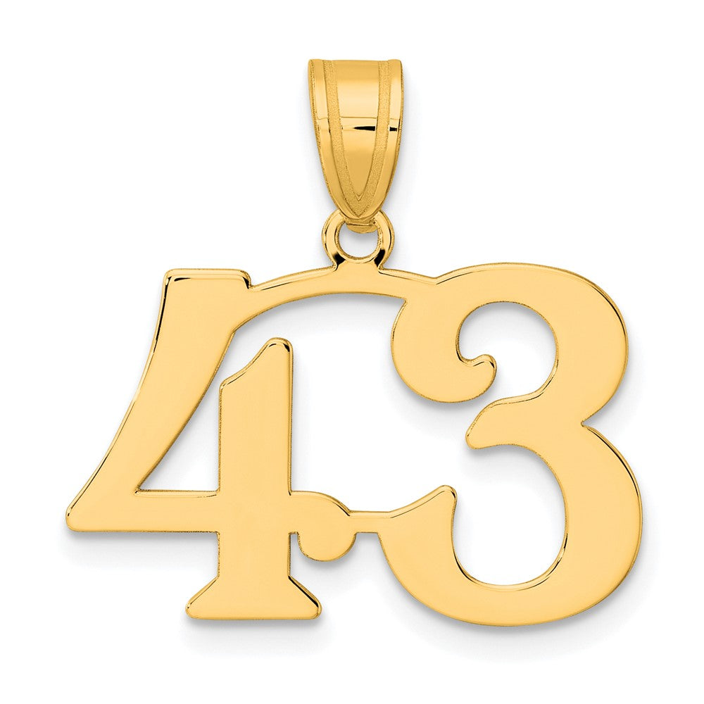 Charlie & Co Jewelry | 14k Polished Number 43 Pendant - Model APN43