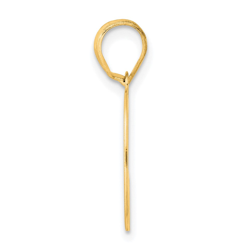 Charlie & Co Jewelry | 14k Polished Number 50 Pendant - Model APN50