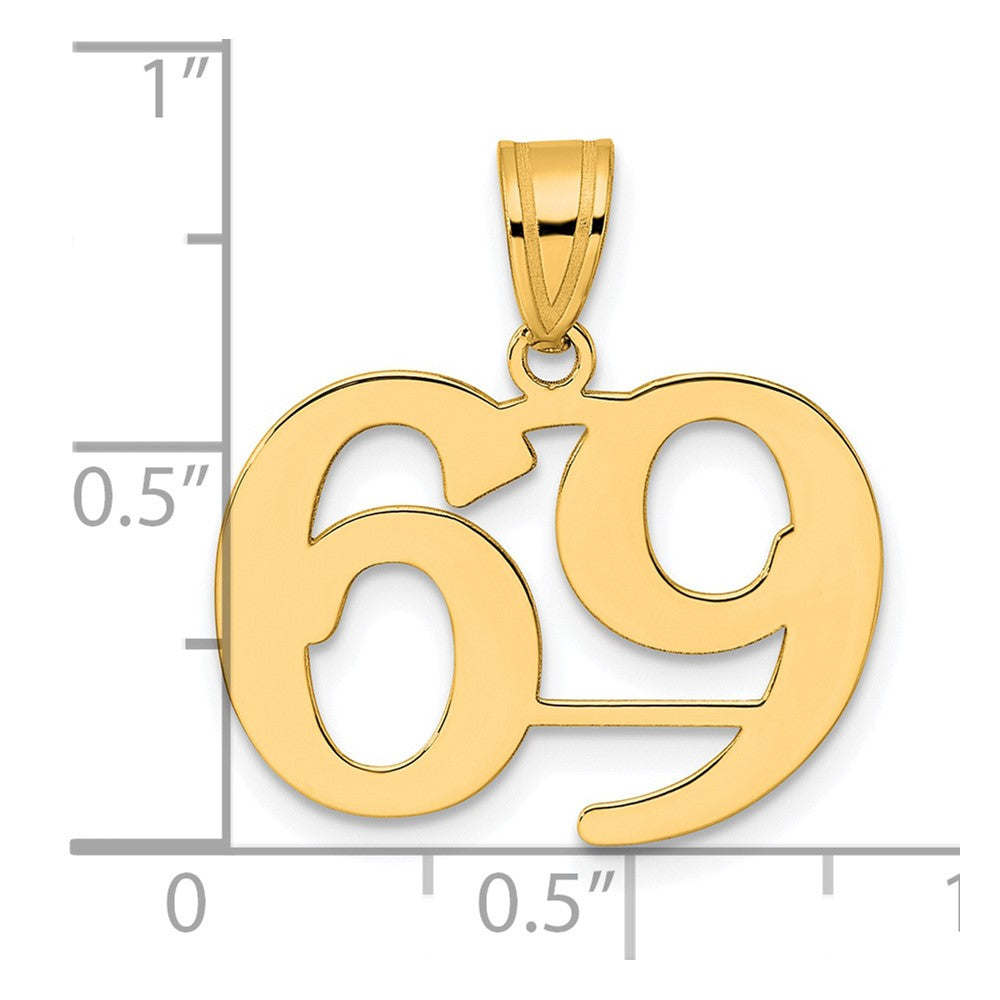 Charlie & Co Jewelry | 14k Polished Number 69 Pendant - Model APN69