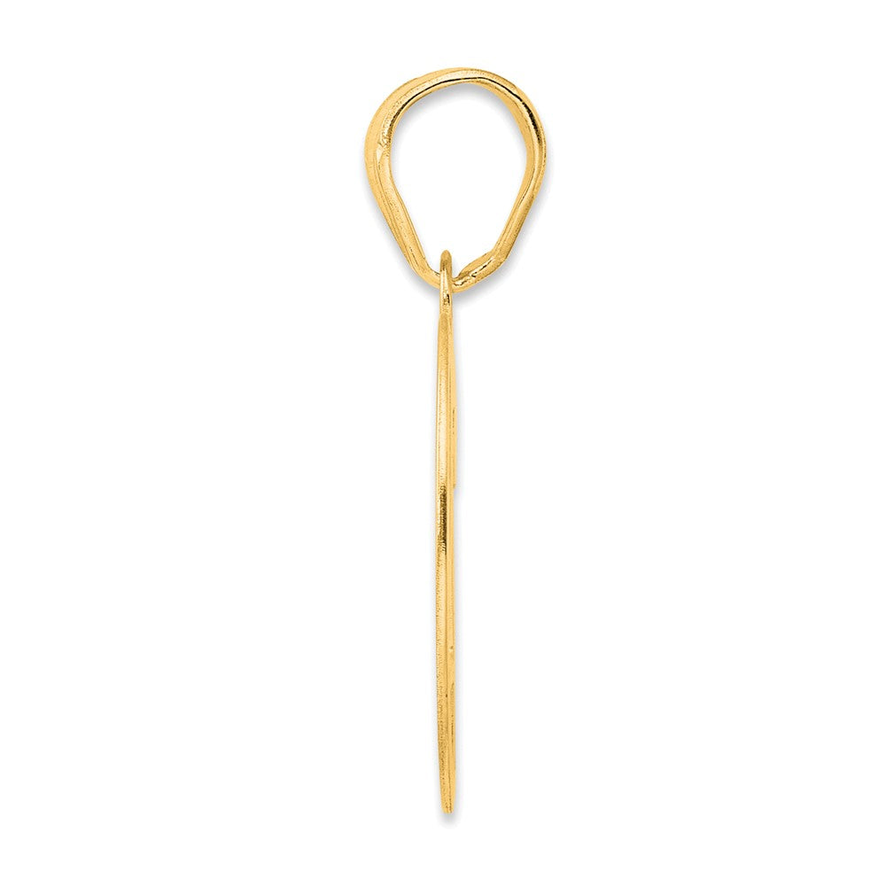 Charlie & Co Jewelry | 14k Polished Number 79 Pendant - Model APN79
