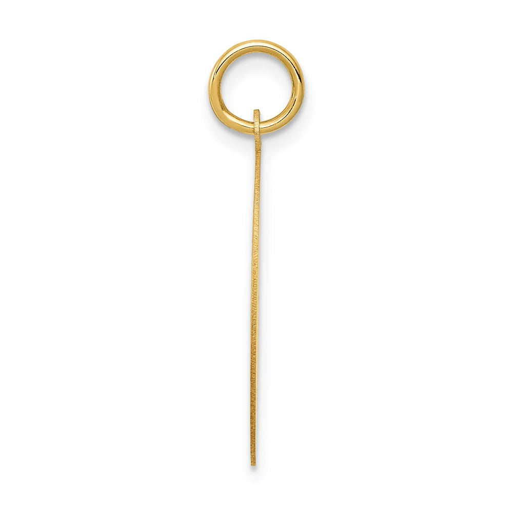 Charlie & Co Jewelry | 14k Wrestling Disc Charm - Model C1240