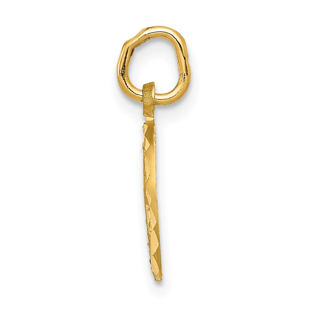 Charlie & Co Jewelry | 14k Eternal Life Cross In Circle Charm - Model C1315