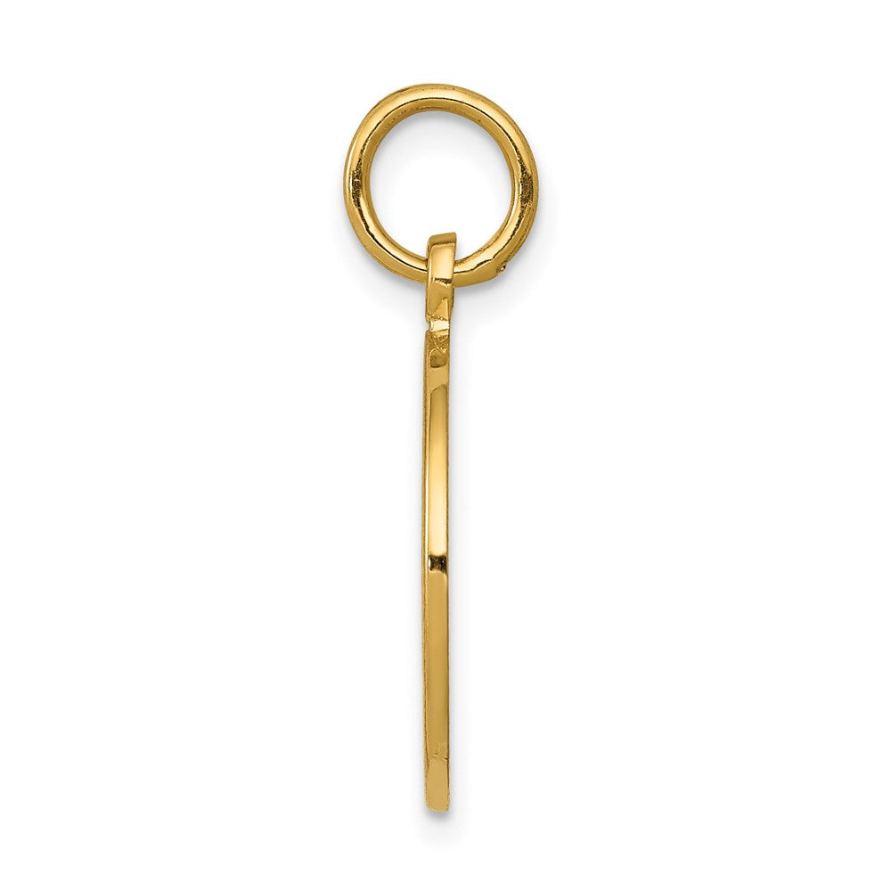 Charlie & Co Jewelry | 14k Satin And Polished Communion Charm - Model C1448