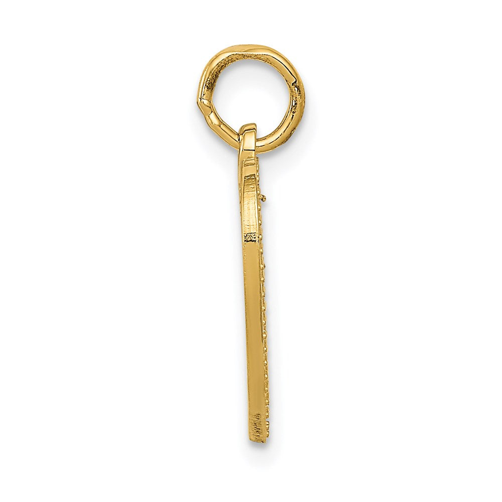 Charlie & Co Jewelry | 14k Very Special Sis Charm - Model C1692
