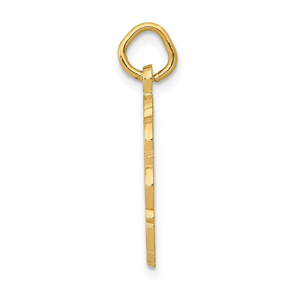 Charlie & Co Jewelry | 14k Rn Registered Nurse Disc Charm - Model C1785
