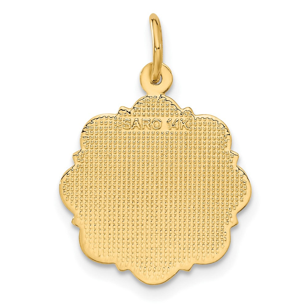 Charlie & Co Jewelry | 14k Rn Registered Nurse Disc Charm - Model C1785