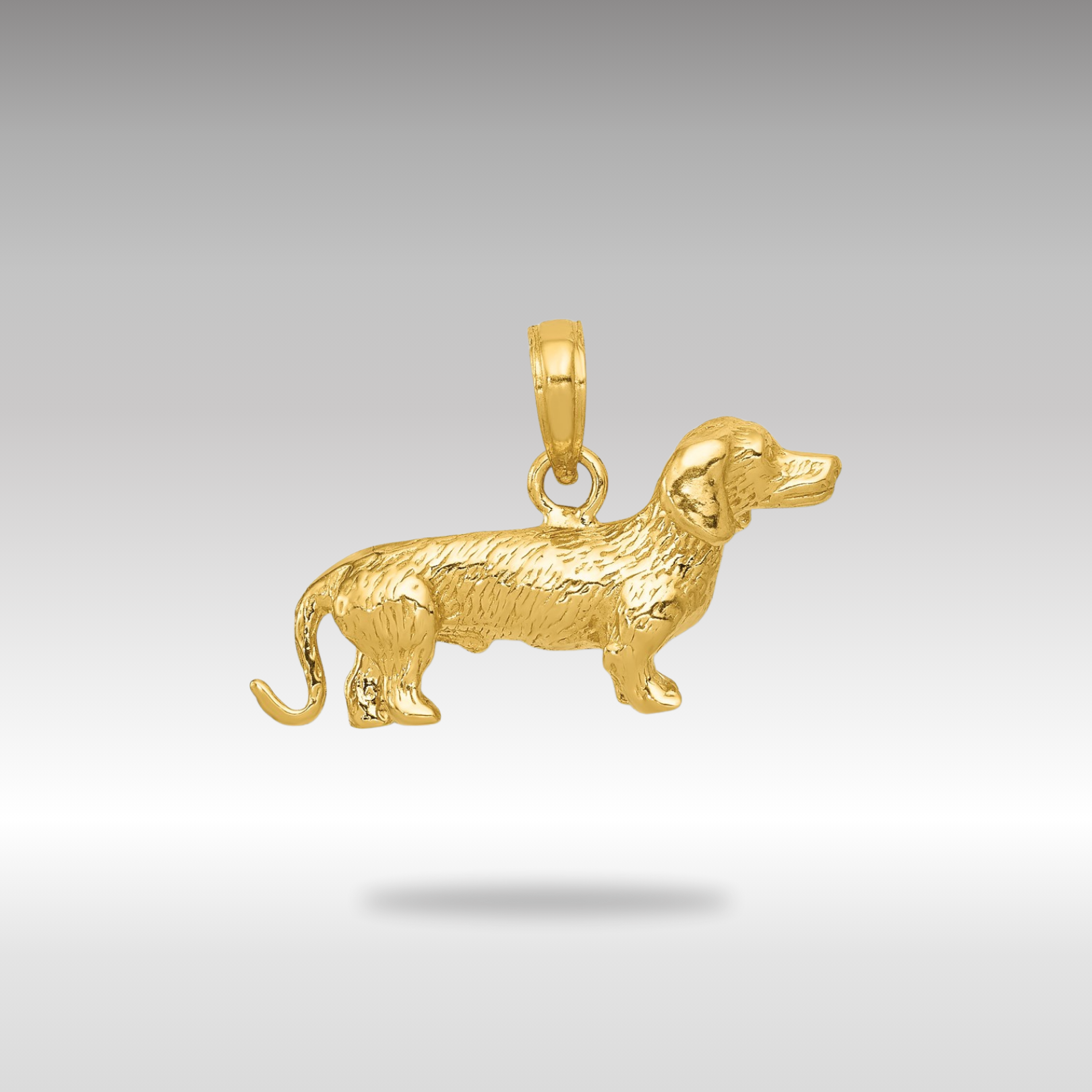 Gold Polished 3-D Wire-Haired Dachshund Necklace Pendant - Charlie & Co. Jewelry