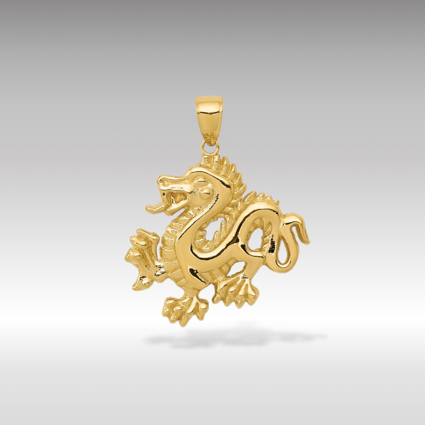 14K Gold Polished Dragon Pendant - Charlie & Co. Jewelry