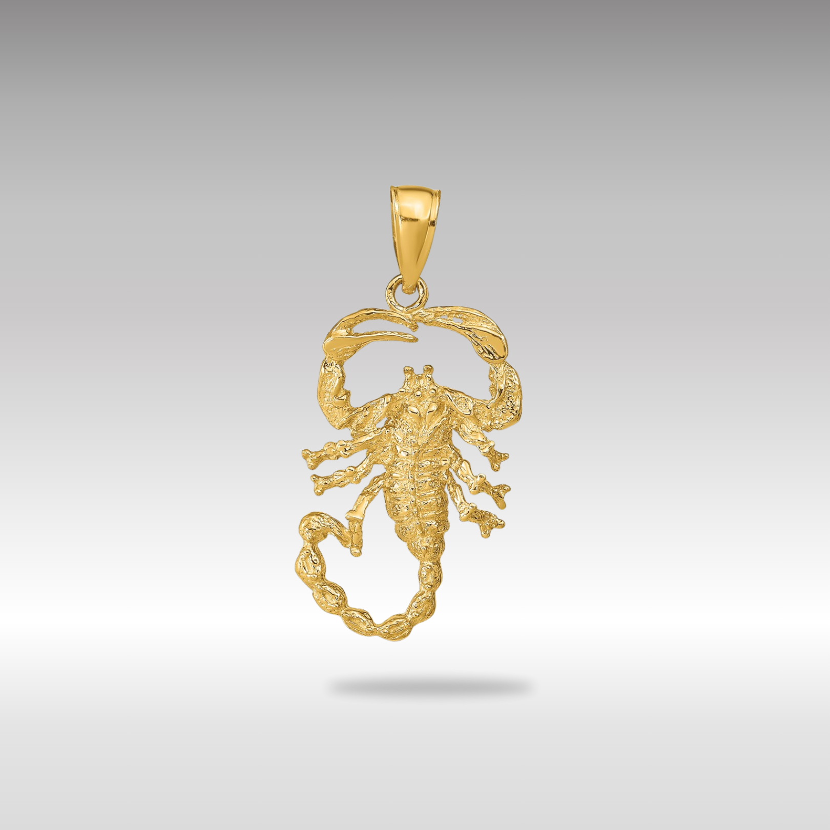 Gold Polished Large Open-Backed Scorpion Pendant Model-C2383 - Charlie & Co. Jewelry