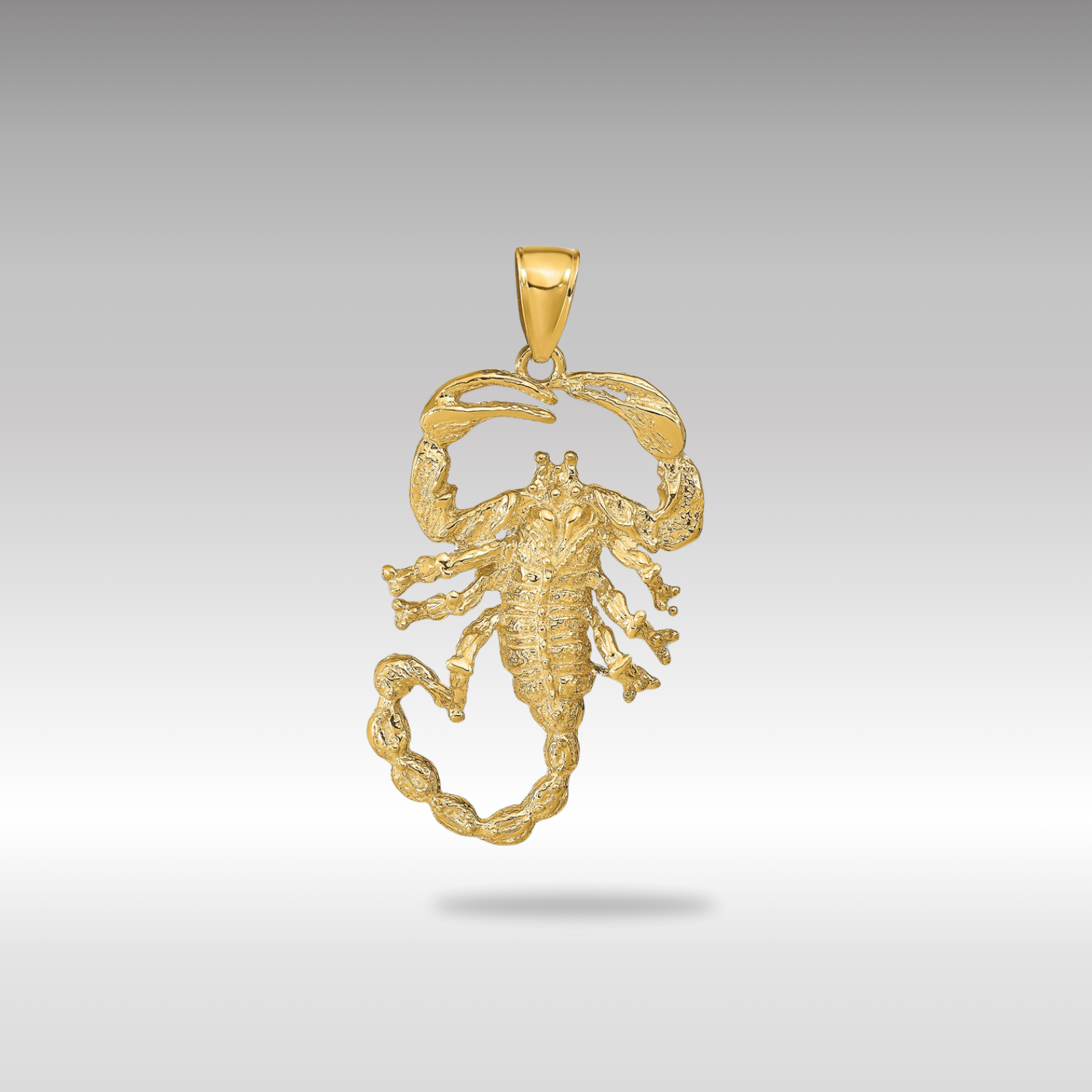 Gold Polished Extra Large Open-Backed Scorpion Pendant Model-C2384 - Charlie & Co. Jewelry