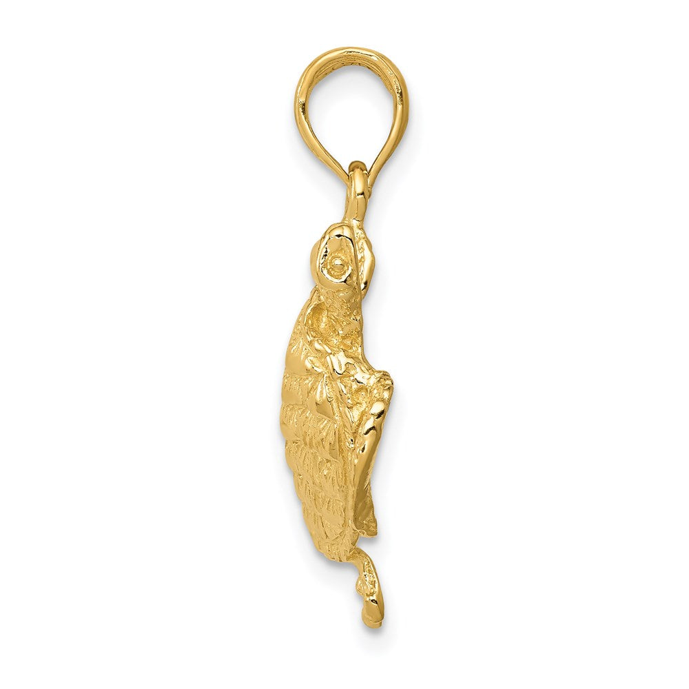 14k Gold Polished Open-Back Turtle Pendant - Charlie & Co. Jewelry