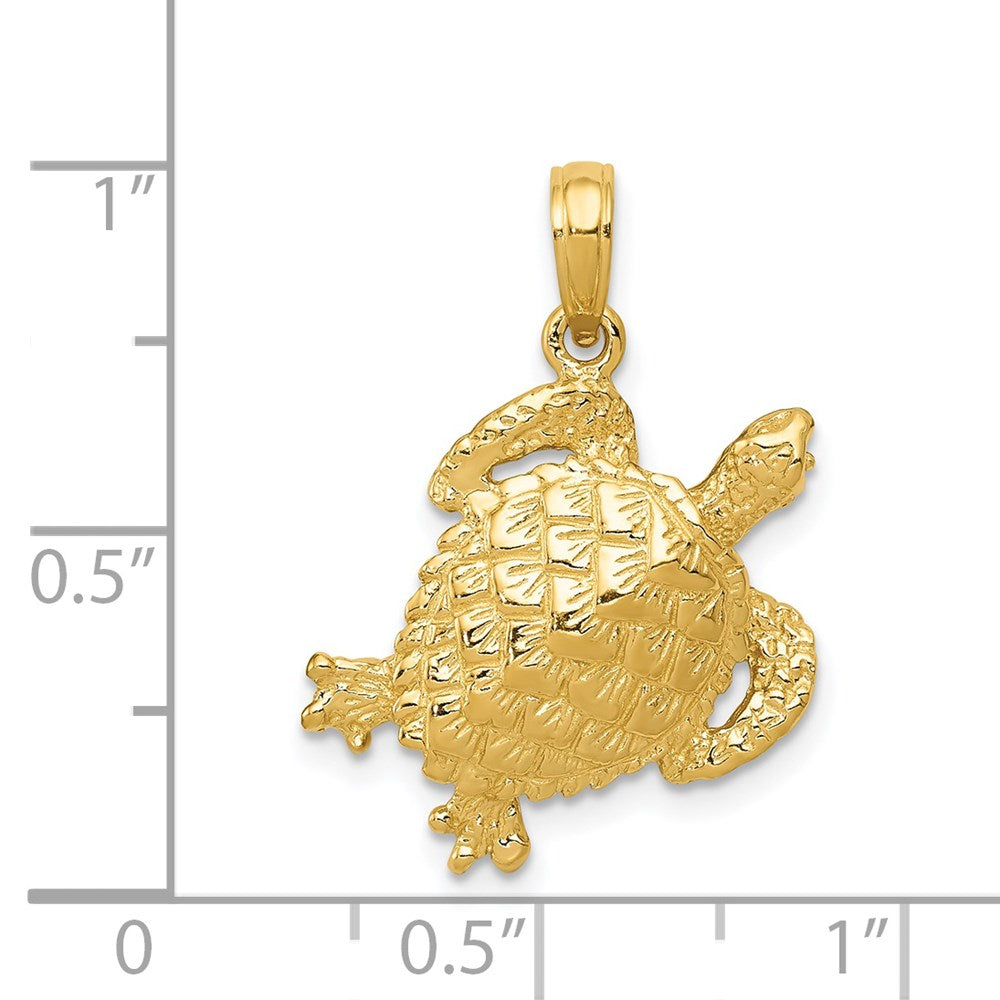 14k Gold Polished Open-Back Turtle Pendant - Charlie & Co. Jewelry