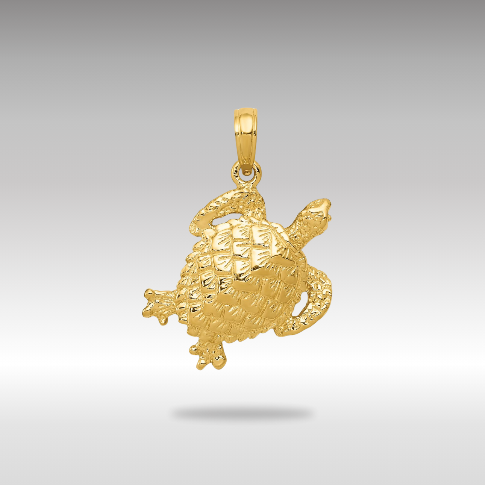 Gold Polished Open-Back Turtle Pendant - Charlie & Co. Jewelry