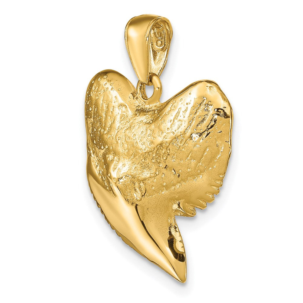 14K Gold Classic 3D Shark Tooth Pendant - Charlie & Co. Jewelry