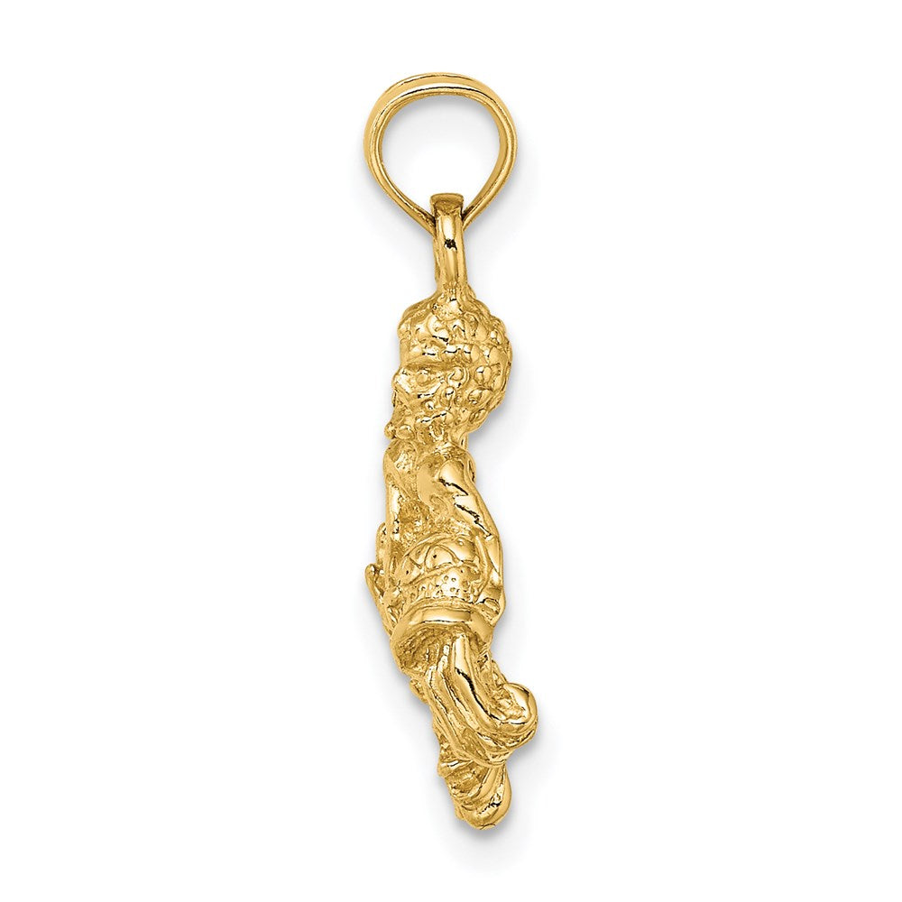 14k 3-D Aquarius Zodiac Water Bearer Charm Necklace Model-C3153 - Charlie & Co. Jewelry