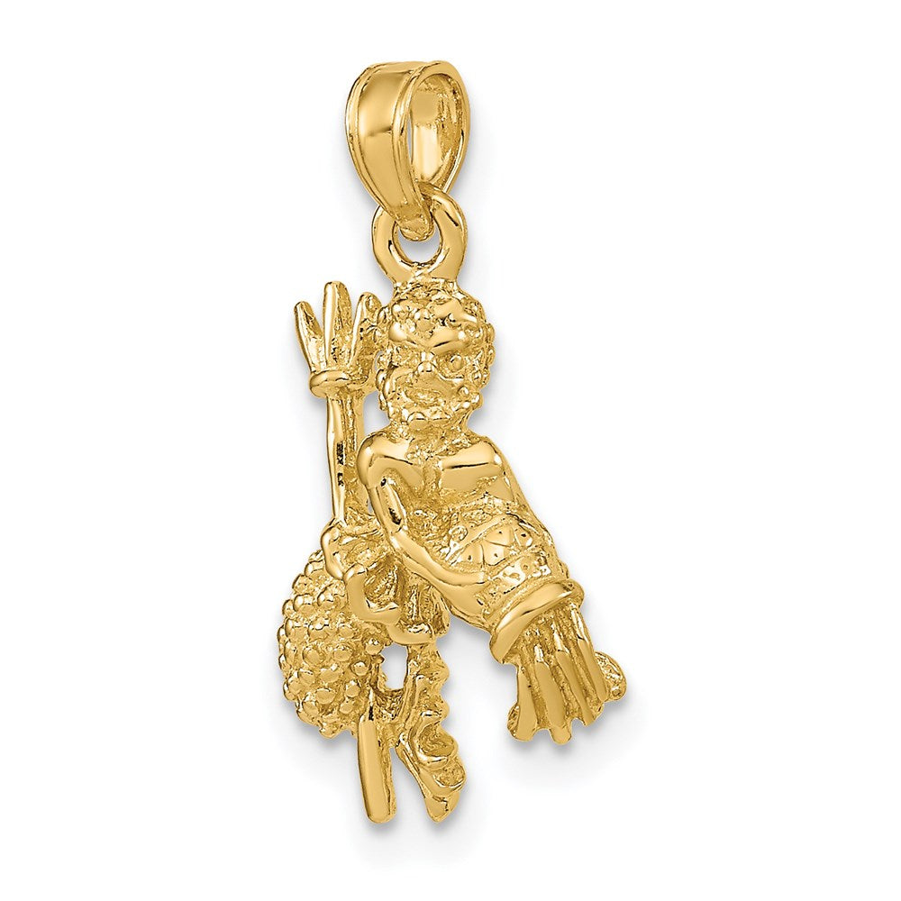 14k 3-D Aquarius Zodiac Water Bearer Charm Necklace Model-C3153 - Charlie & Co. Jewelry