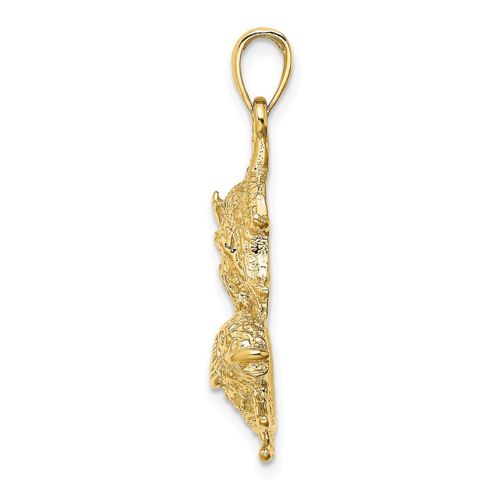Gold Large Pisces Zodiac Charm Model-C3178 - Charlie & Co. Jewelry