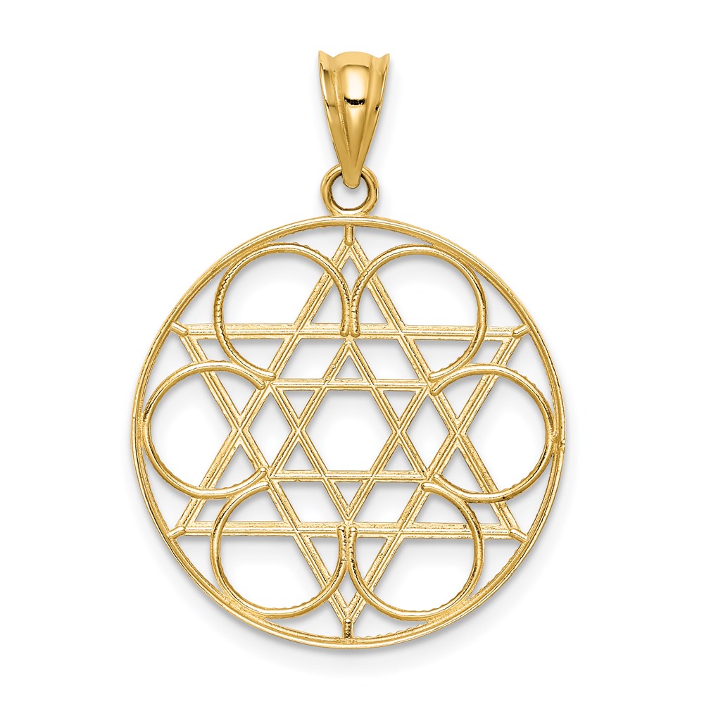Charlie & Co Jewelry | 14k Star Of David Circle Pendant - Model C4453