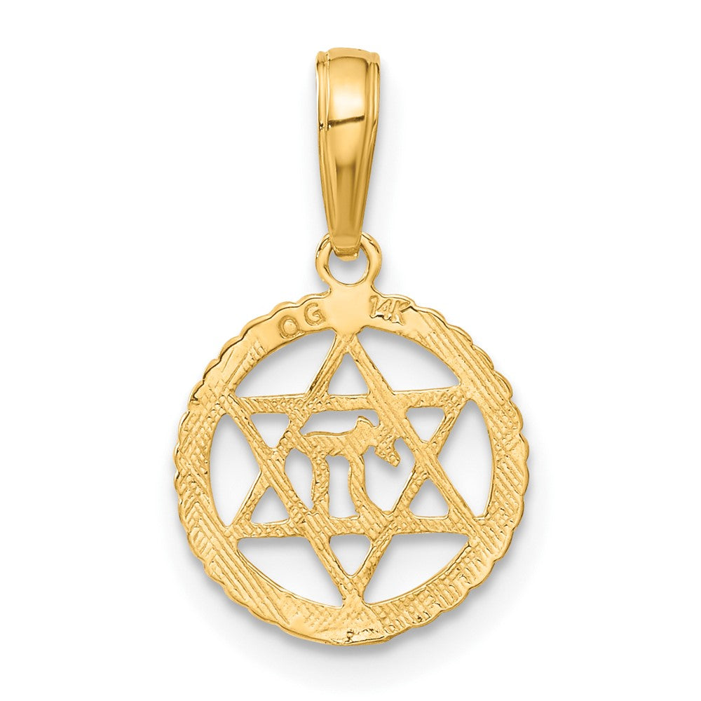 Charlie & Co Jewelry | 14k Star Of David And Chai In Circle Pendant - Model C4459
