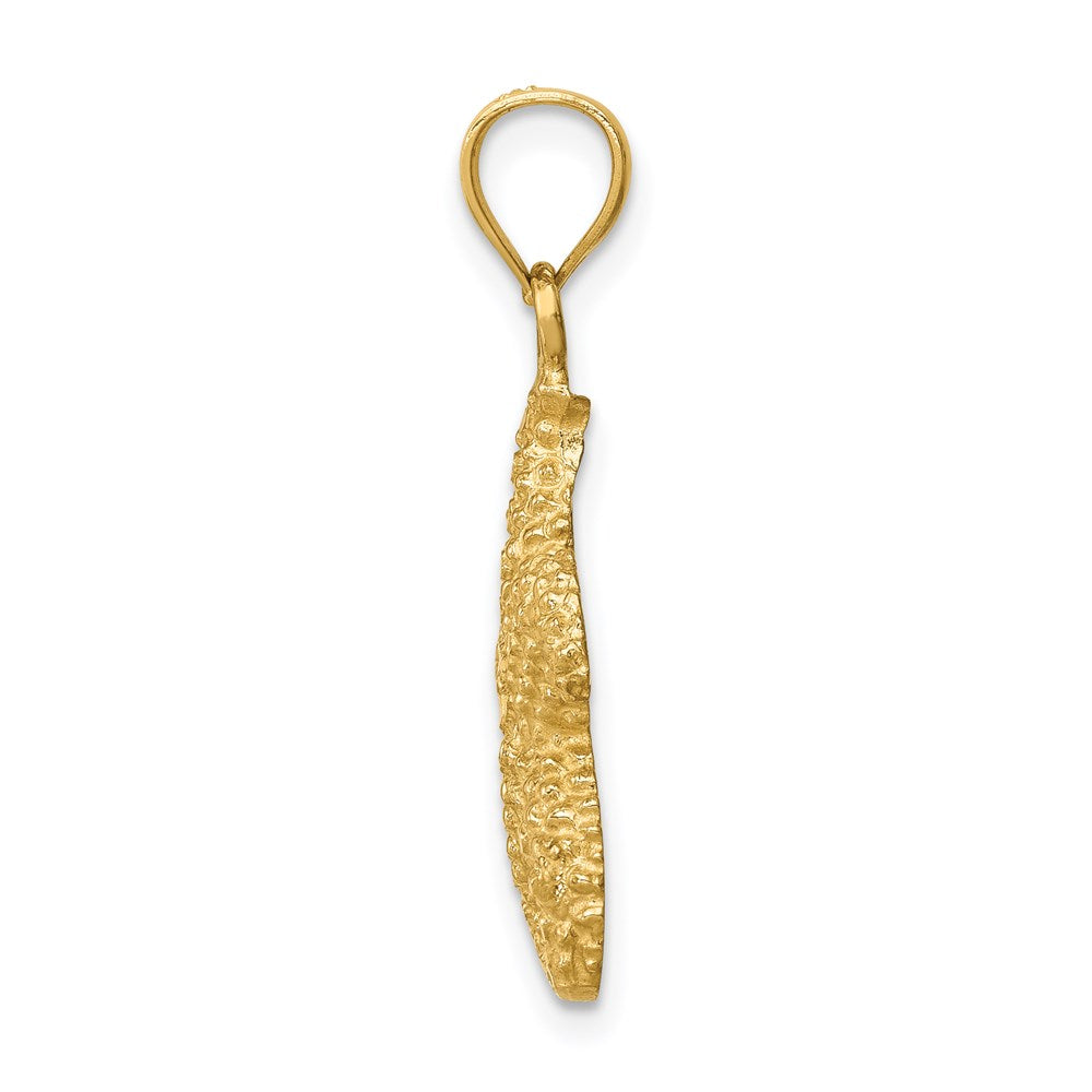 Charlie & Co Jewelry | 14k Starfish Pendant - Model C4610