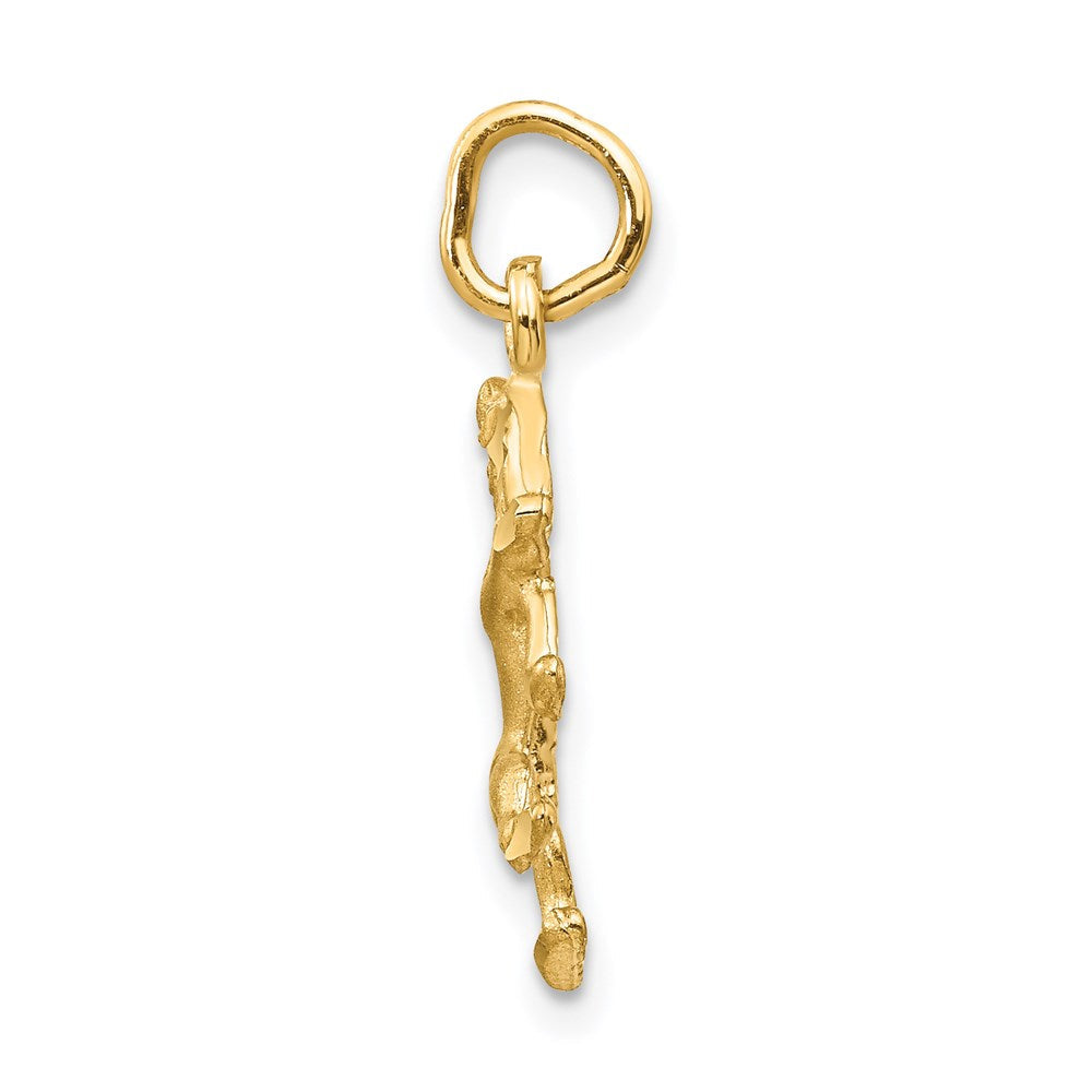Gold Satin Diamond-cut Leo Lion Zodiac Charm Necklace Model-C480 - Charlie & Co. Jewelry