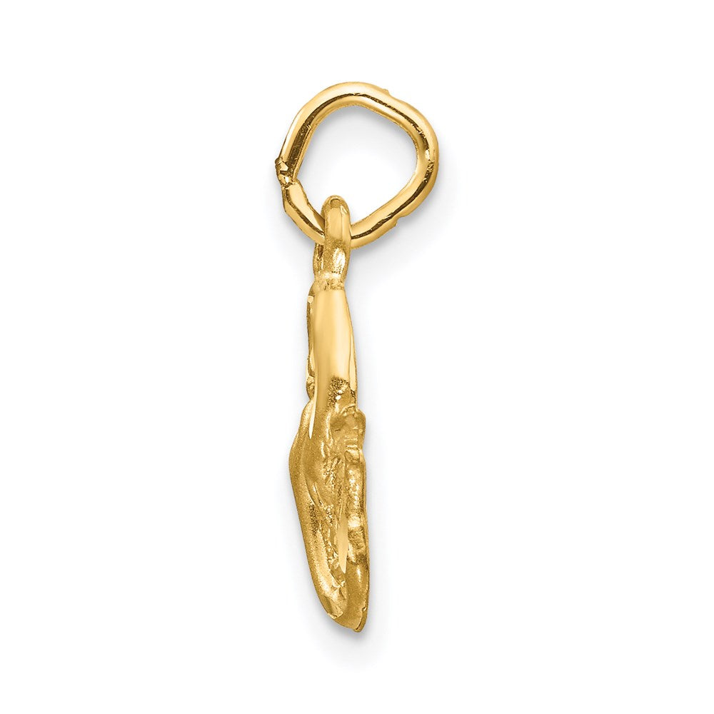 Gold Satin Diamond-cut Pisces Small Zodiac Charm Necklace Model-C487 - Charlie & Co. Jewelry