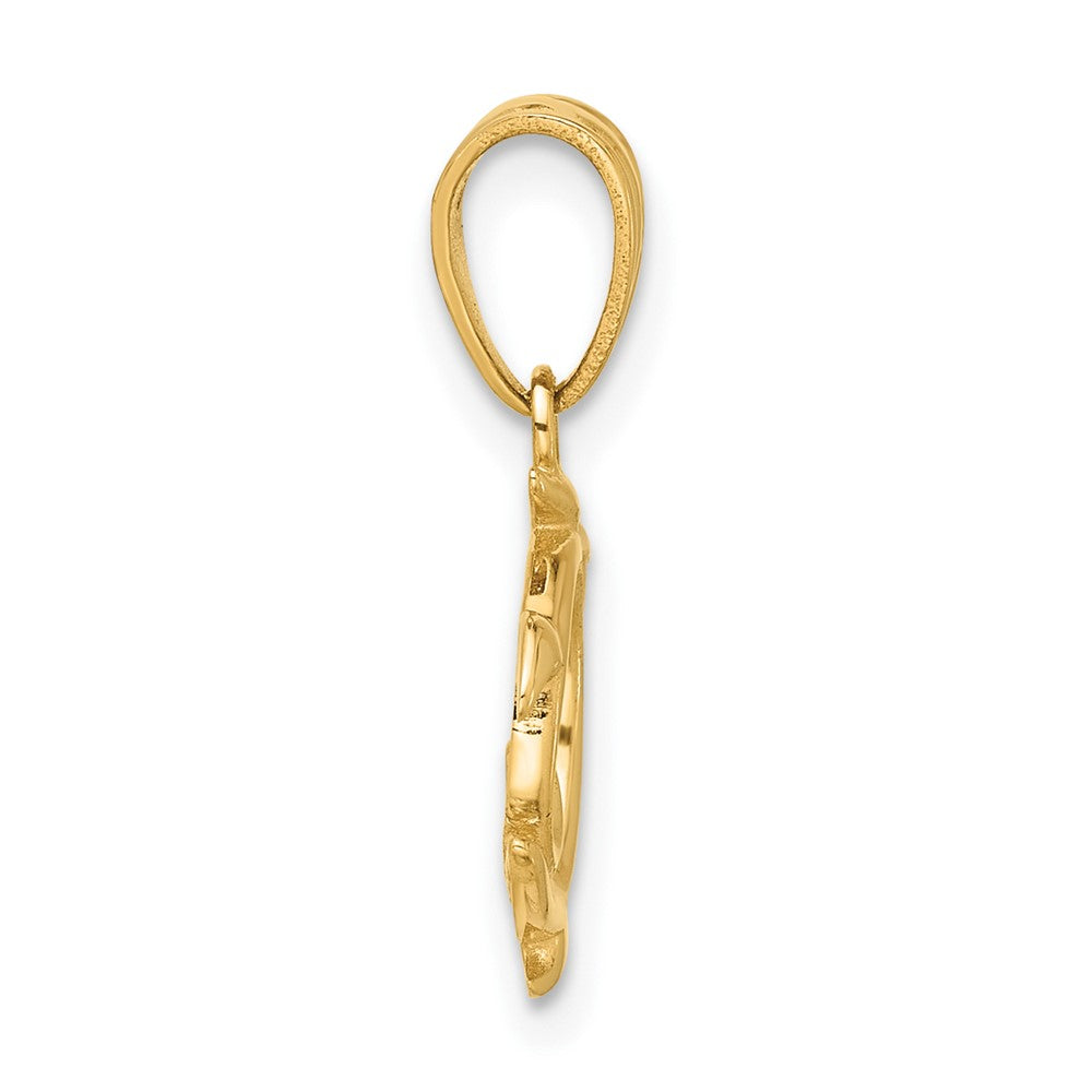 14K Gold Swirling Turtle Pendant - Charlie & Co. Jewelry