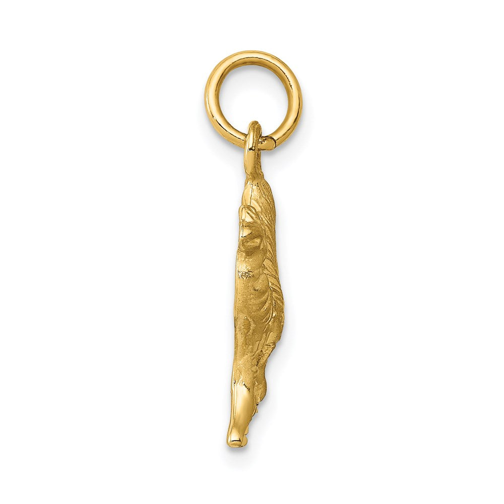 Charlie & Co Jewelry | 14k Camel Charm - Model C563