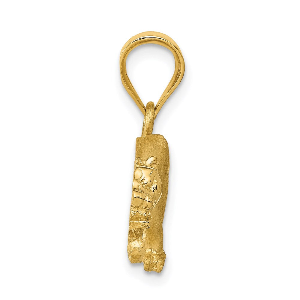 Charlie & Co Jewelry | 14k Panther Pendant - Model C92
