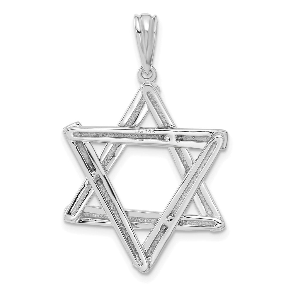 14K White Gold Large Star of David Pendant - Charlie & Co. Jewelry
