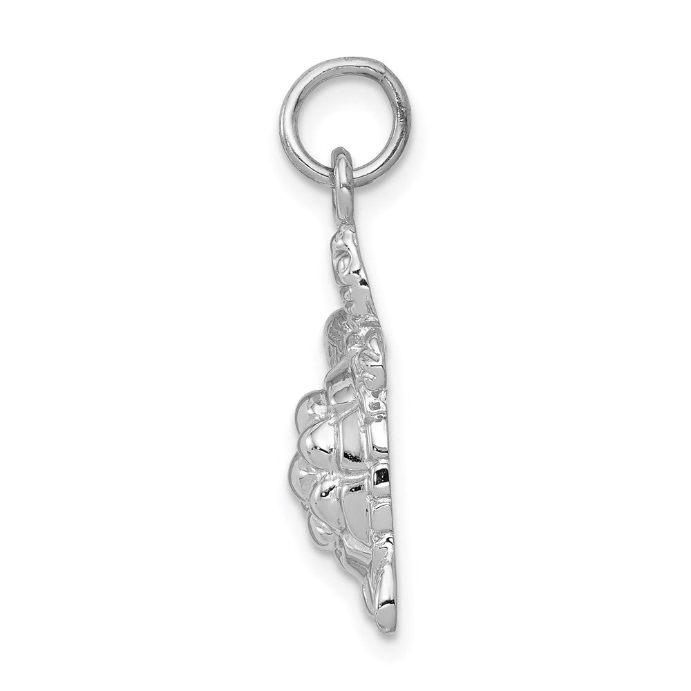 14k White Gold Polished Open-Backed Turtle Charm - Charlie & Co. Jewelry