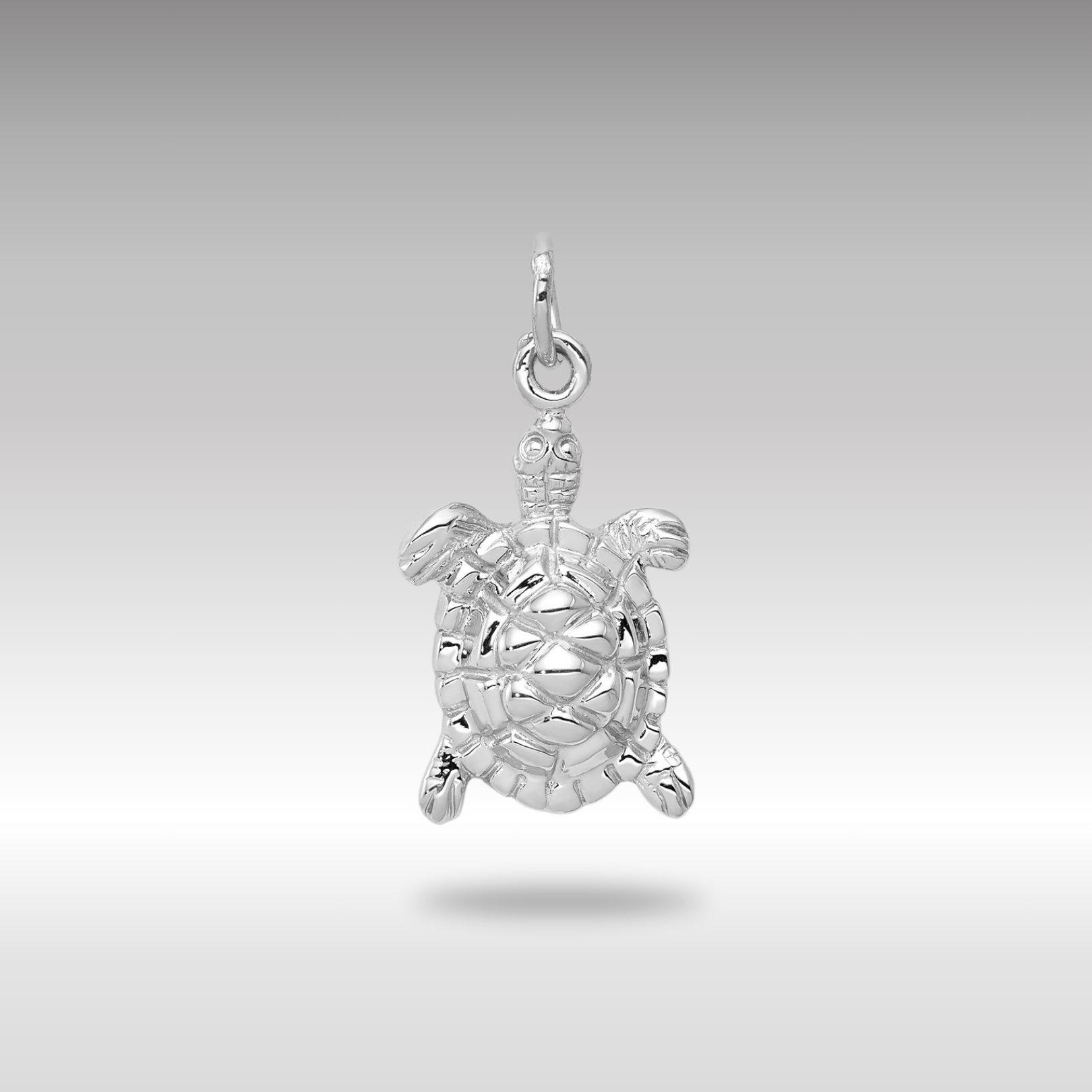 White Gold Polished Open-Backed Turtle Charm - Charlie & Co. Jewelry