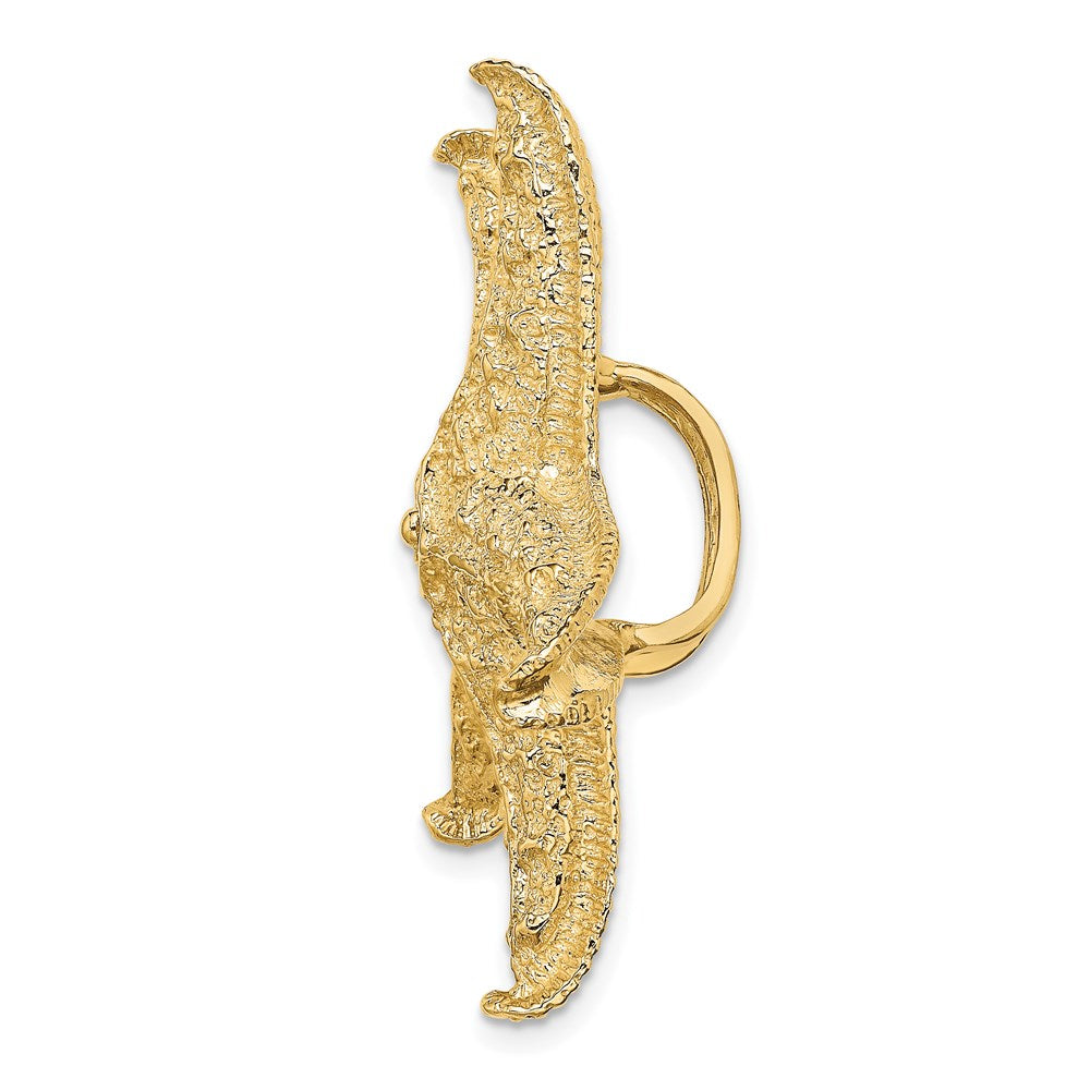 Charlie & Co Jewelry | 14k Starfish Slide - Model D2869