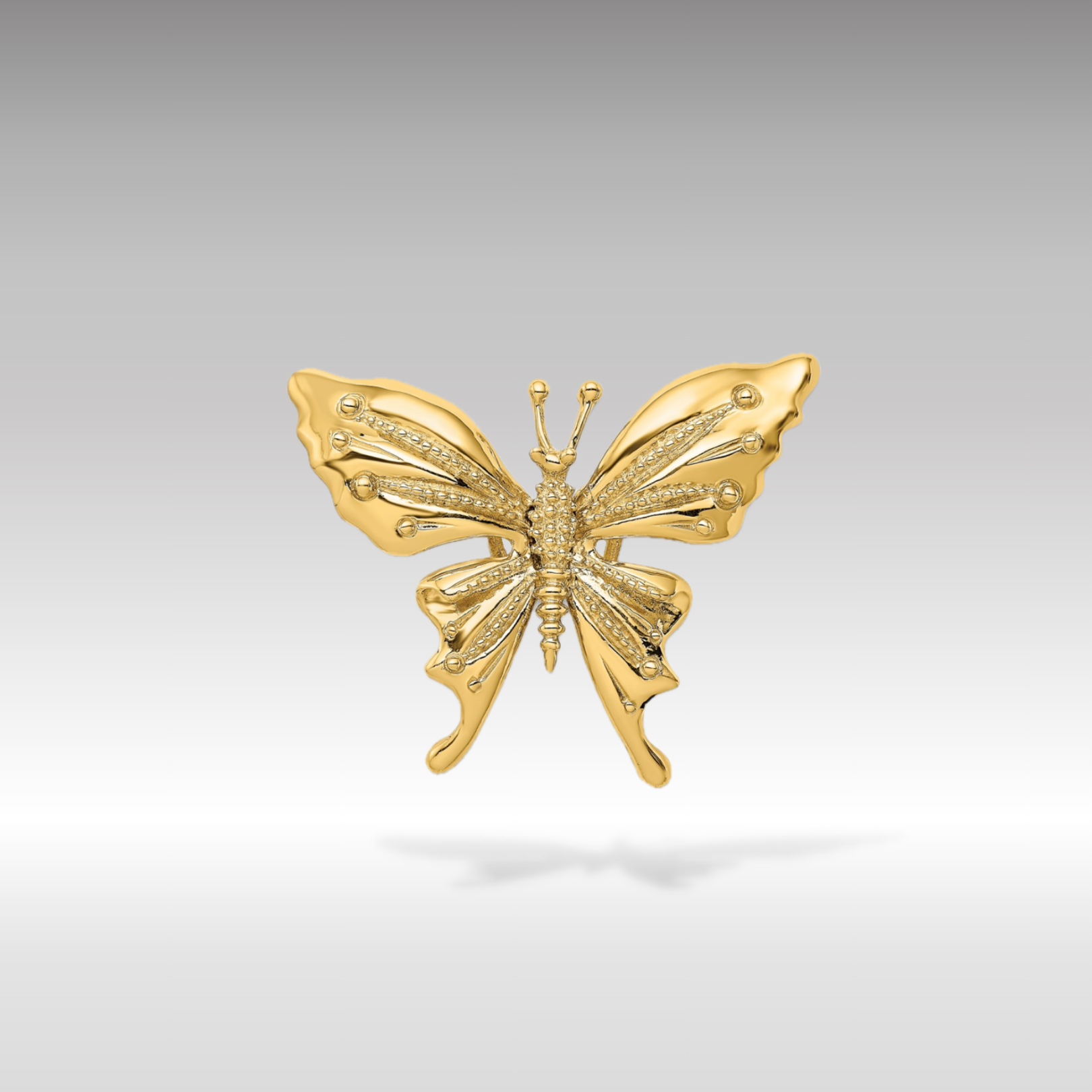 14k Gold Polished and Beaded Butterfly Slide Charm - Charlie & Co. Jewelry