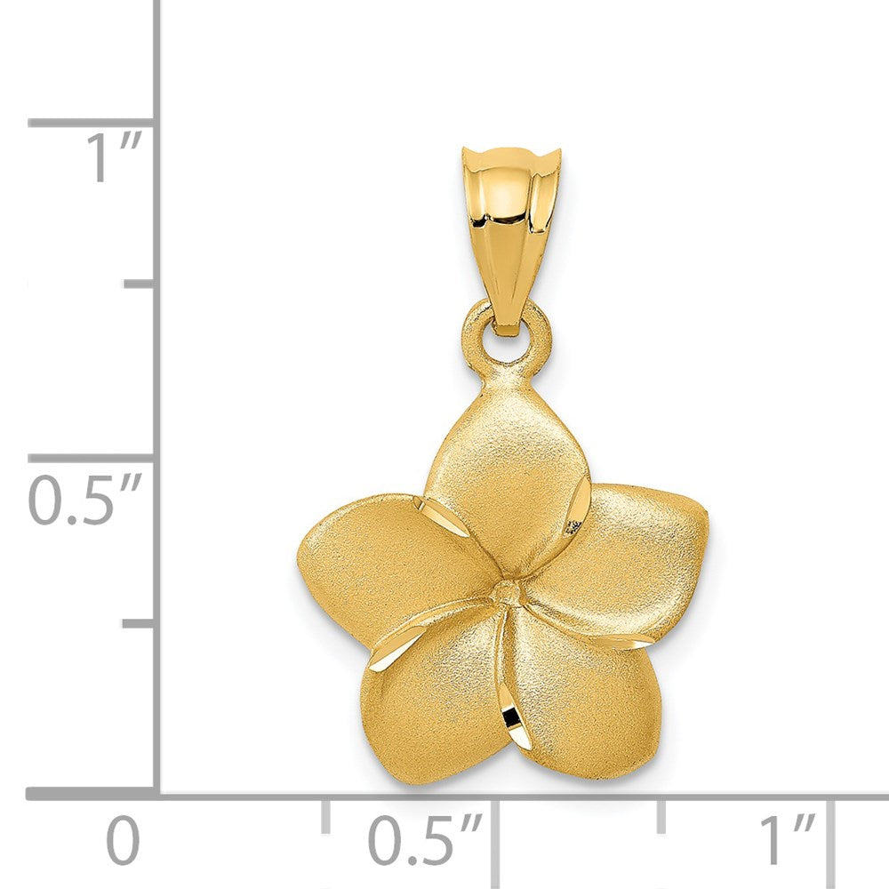 14K Gold Textured Plumeria Flower Charm - Charlie & Co. Jewelry