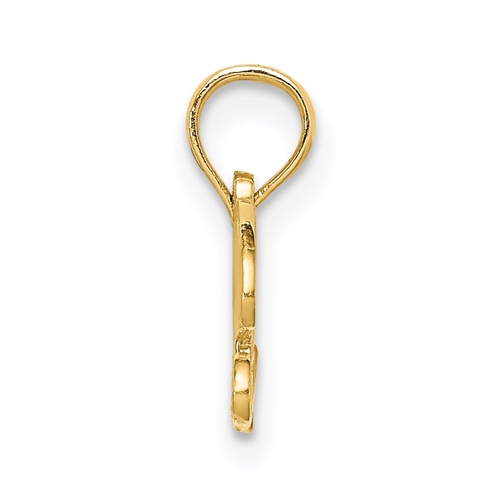 Charlie & Co Jewelry | 14k Precious Charm - Model D3998